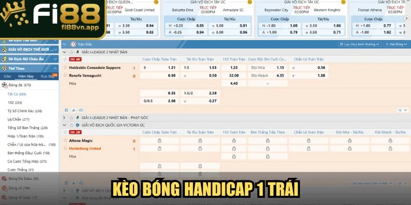 Kèo Bóng Handicap Các Dạng Phổ Biến Và Mẹo Kiếm Tiền 4 Kèo bóng Handicap hình thức 1 trái